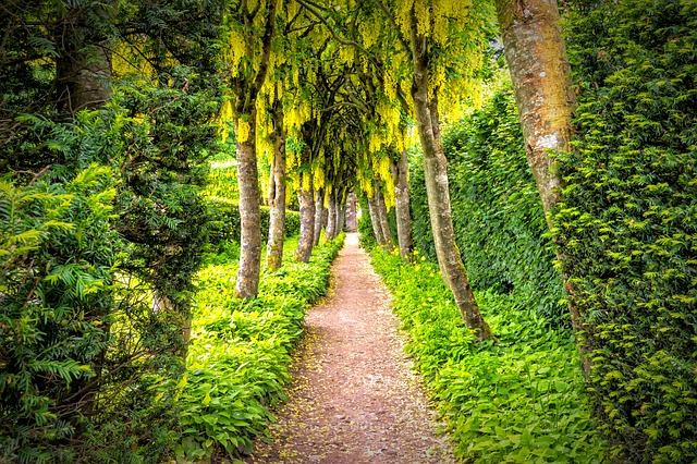 Allée harmonieuse