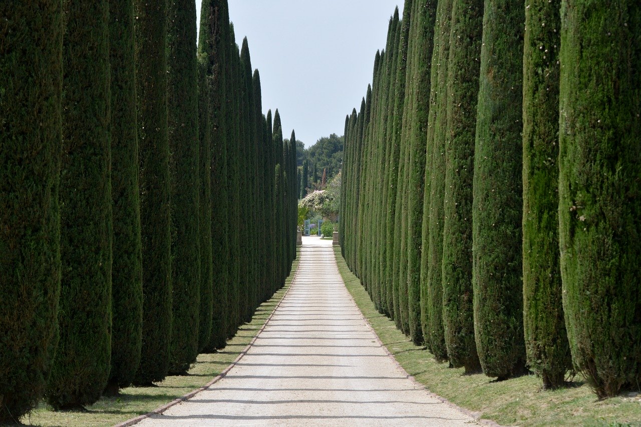Création allée